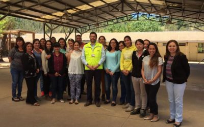 IST capacita a profesores del municipio de Santo Domingo