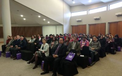 Encuentro de comités paritarios en Región de la Araucanía