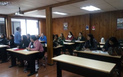 Taller de formación para Comités Psicosociales de jardines infantiles de Puerto Montt
