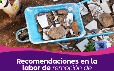 Recomendaciones en la labor de remoción de escombros y colaboración en terreno