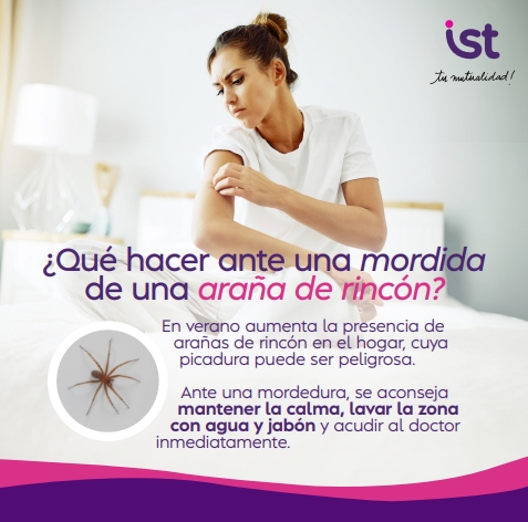 Medidas preventivas ante incendios forestales _ IST